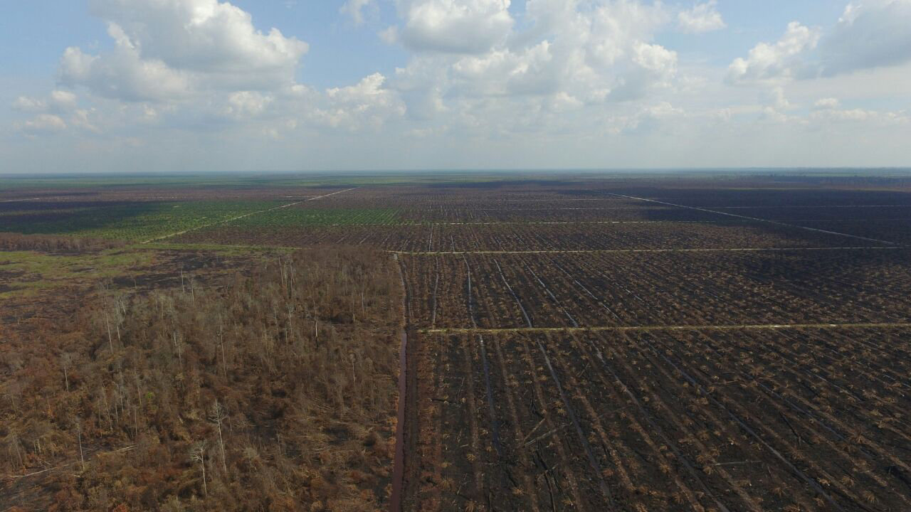 Aerial view of forest burned illegally at a peatland area in Rokan Hulu, Riau province, Sumatra, Indonesia September 2, 2016. Picture taken September 2, 2016. Ministry of Environment and Forestry Republic of Indonesia/Handout via REUTERS ATTENTION EDITORS