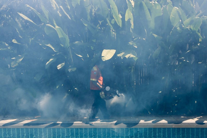 A worker fumigates the area to control the spread of mosquitoes in Bangkok, Thailand, February 12, 2016. REUTERS/Jorge Silva - RTX26L9I