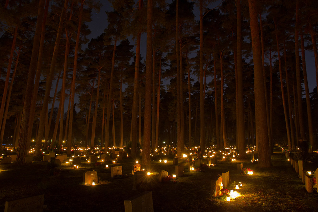 图取自：flickr