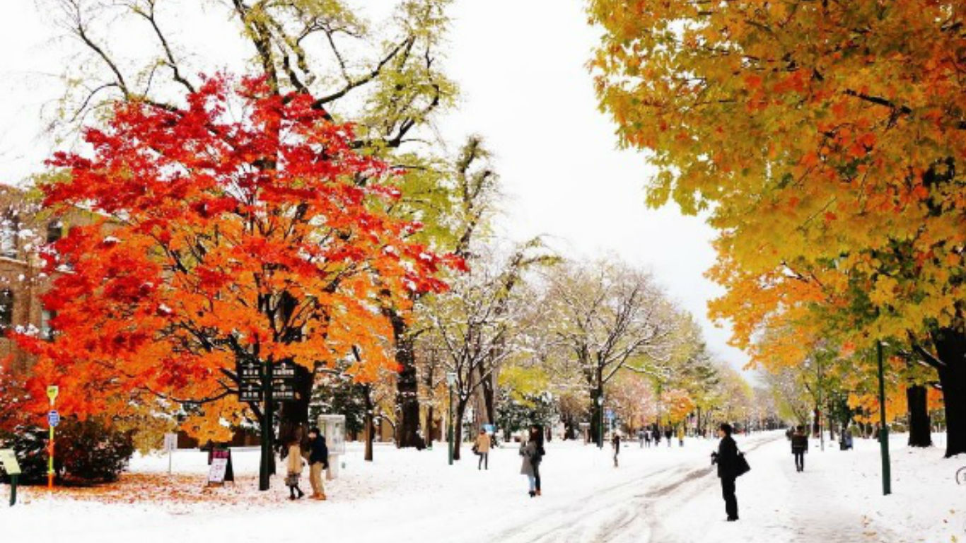北海道大学的红叶还没掉光，大雪已经来了。-图取自h_ksk44 instagram-