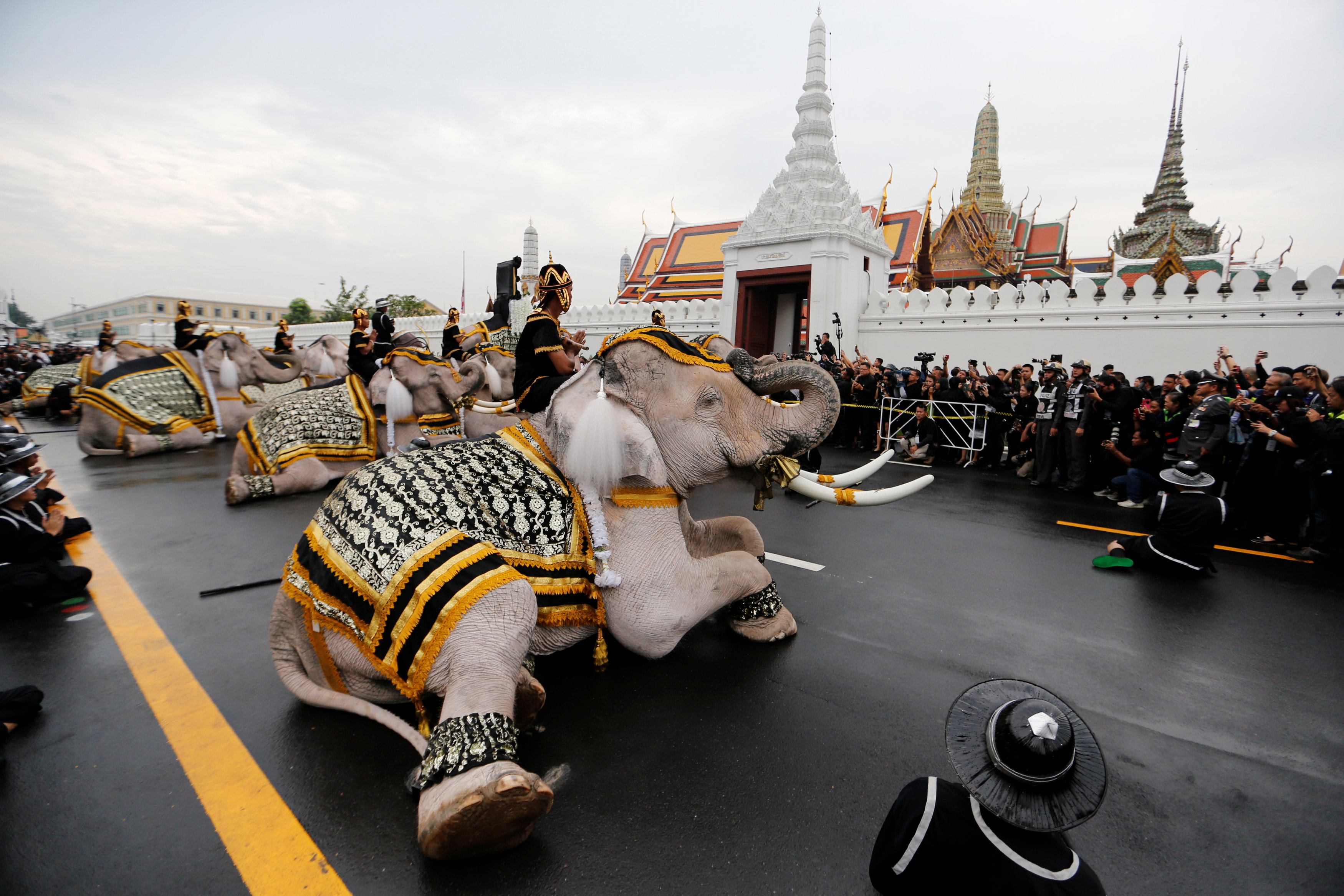 Ayuthaya elephants and mahouts pay their respects at the Royal Palace where Thailand's late king Bhumibol Adulyadej is lying in state, in Bangkok, Thailand November 8, 2016. REUTERS/Jorge Silva TPX IMAGES OF THE DAYn