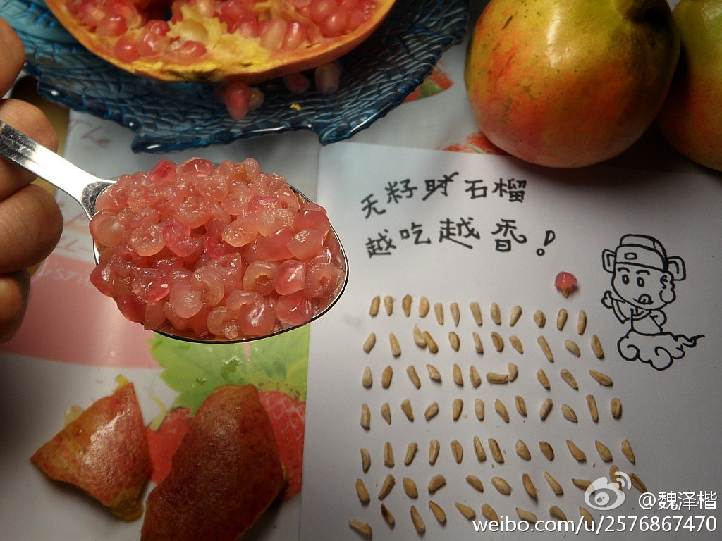 原来以为吃石榴的最高成就是剥石榴粒儿，而他，竟然把石榴籽挖！出！来！了！-图取自魏泽楷微博-