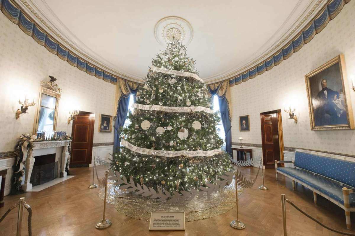约5.8公尺高、来自宾州的冷衫，就是今年的白宫圣诞树。-法新社-