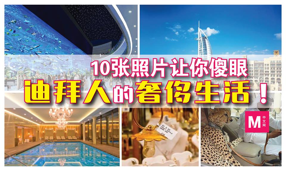 Cincai News