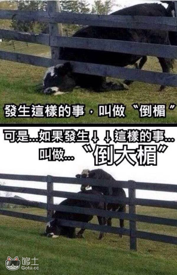 生活，没有最倒霉，只有更倒霉。图取自：gotu.cc 