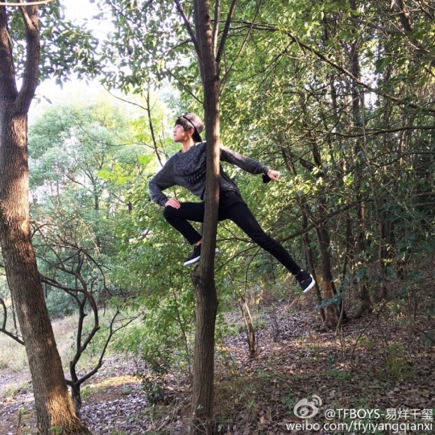 千玺，你是报读了这门课么？图取自：mingxing.com 