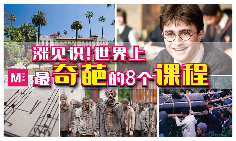 Cincai News
