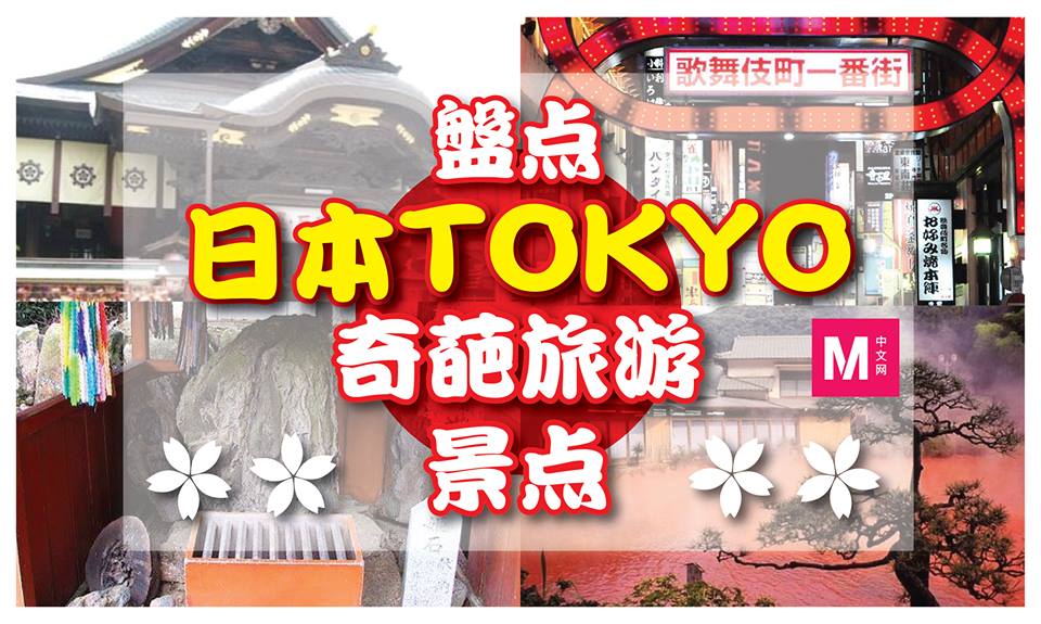 Cincai News