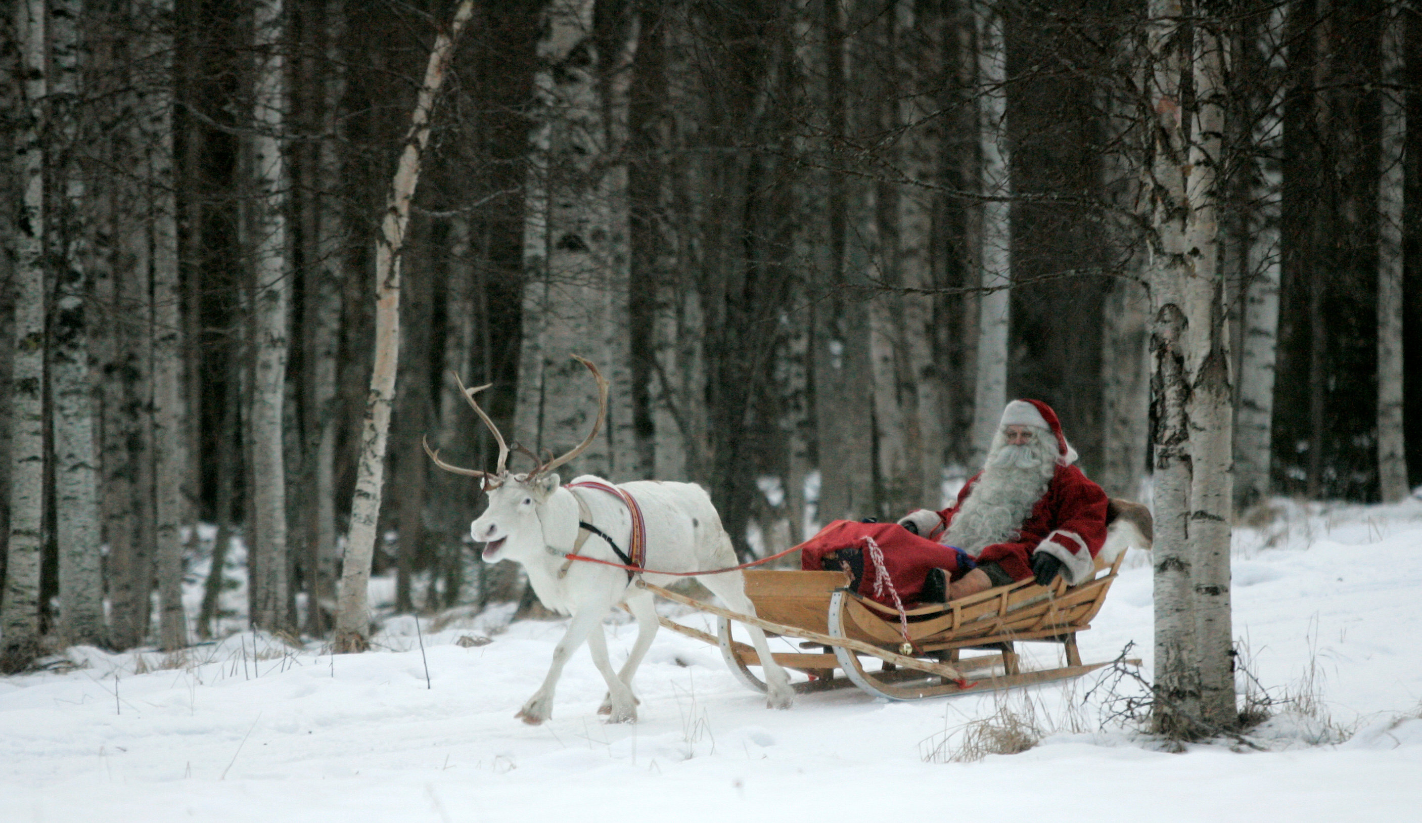 A man dressed as Santa Claus rides his sleigh as he prepares for Christmas on the Arctic Circle in Rovaniemi, northern Finland, December 19, 2007. REUTERS/KACPER PEMPEL/File Photon