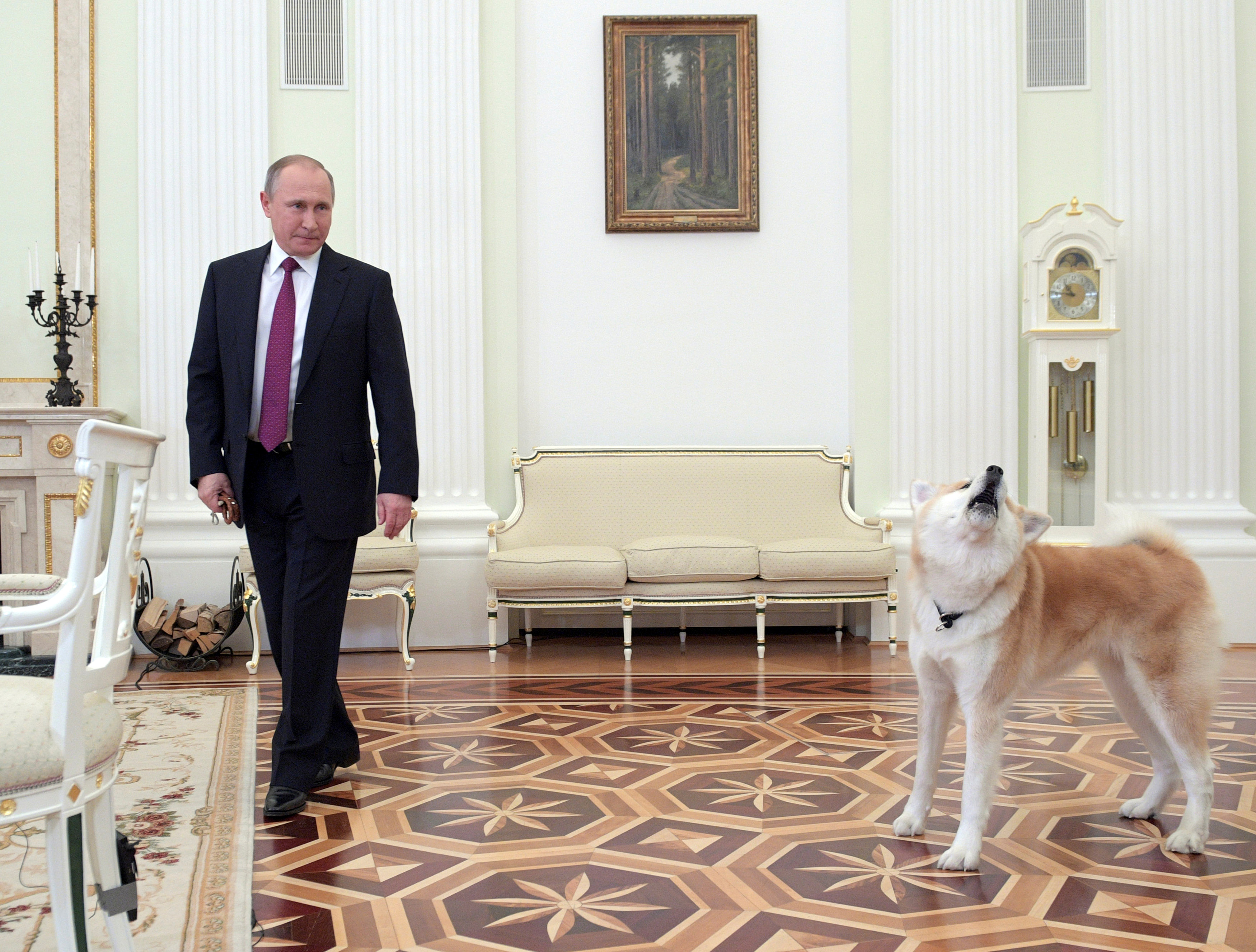 Russian President Vladimir Putin enters a hall with his dog Yume, a female Akita Inu, before giving an interview to Japanese Nippon Television and Yomiuri newspaper at the Kremlin in Moscow, Russia, December 7, 2016. Sputnik/Kremlin/Alexei Druzhinin via R