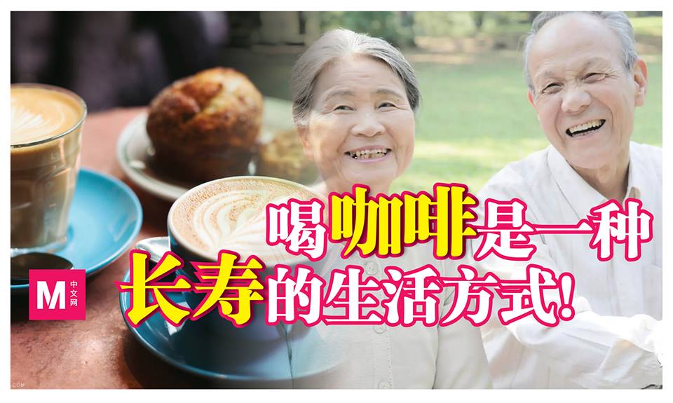 Cincai News