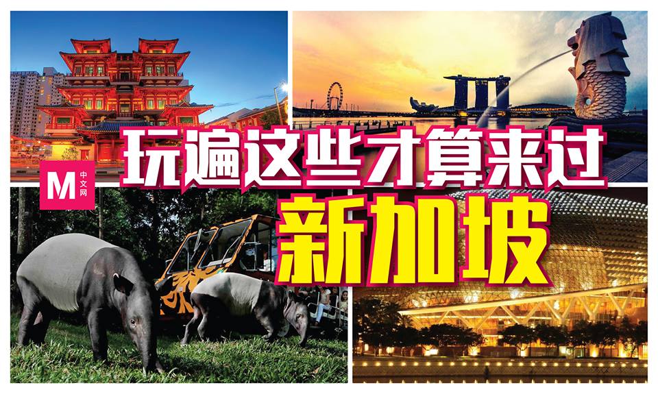 Cincai News