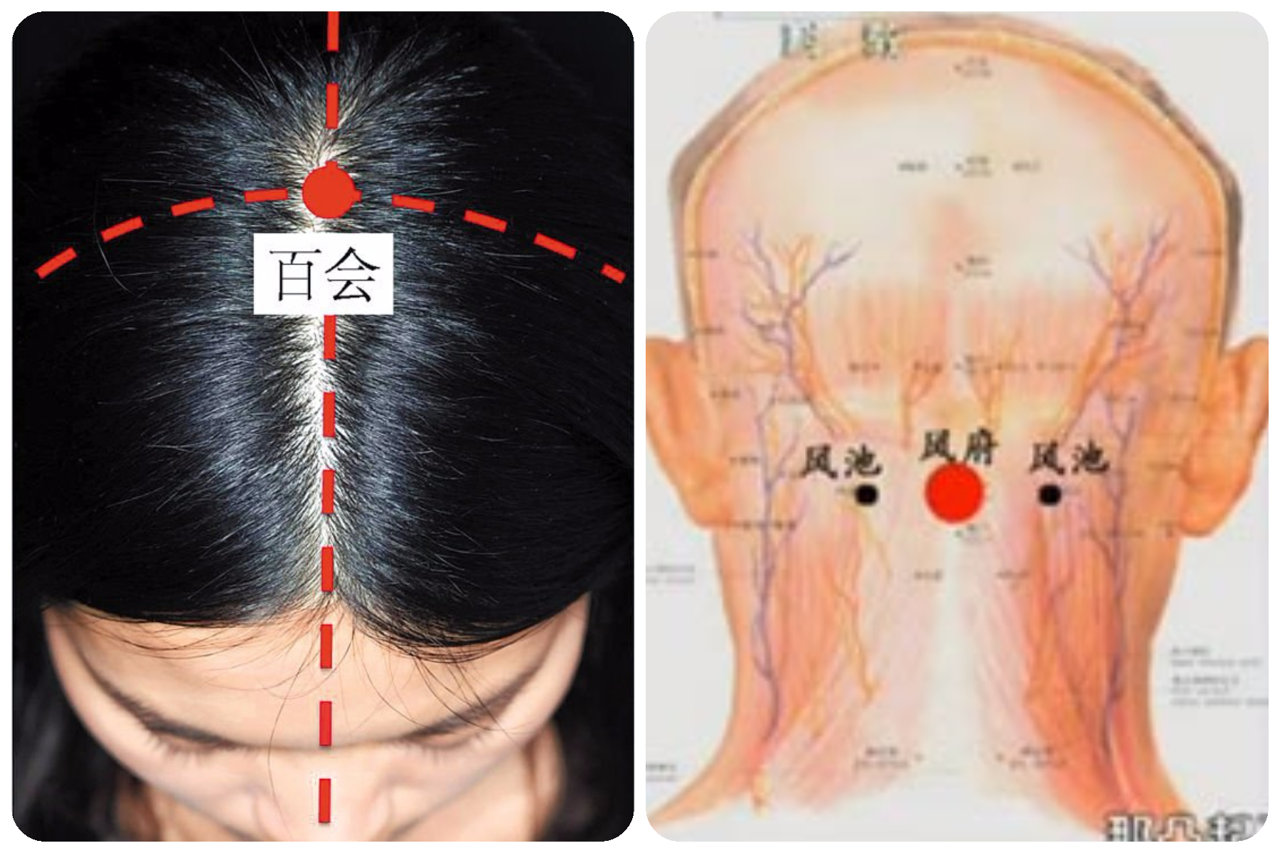 洗完头发后记得先吹干这三个穴位，就不怕落下病根了。-M中文网制图-
