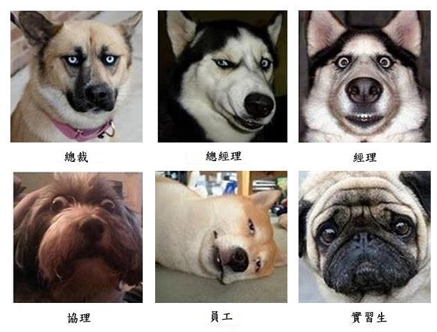 为了讨好客户而委屈员工，这样的老板我！才！不！要！图取自：sunny8668 