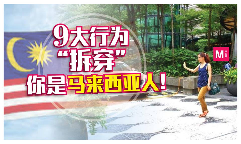 Cincai News