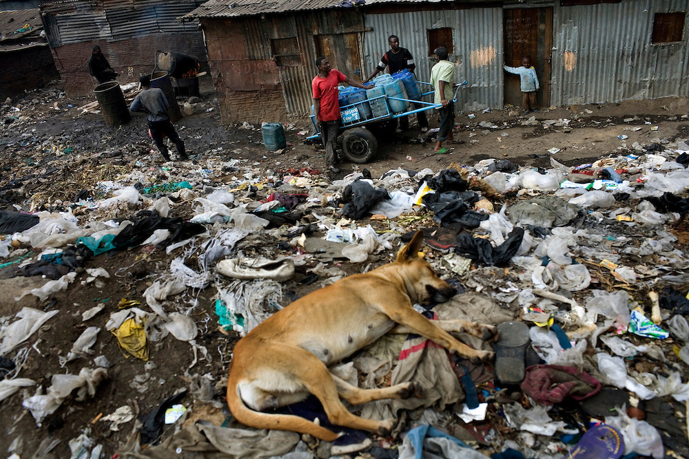 贫穷却快乐？这只存在于童话故事里吧？图取自：forum