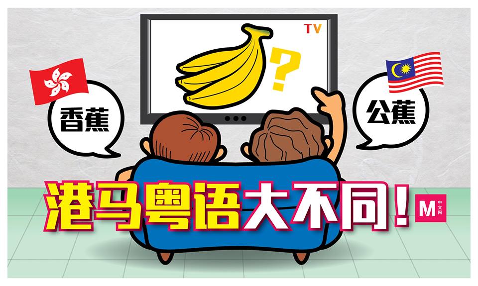 Cincai News