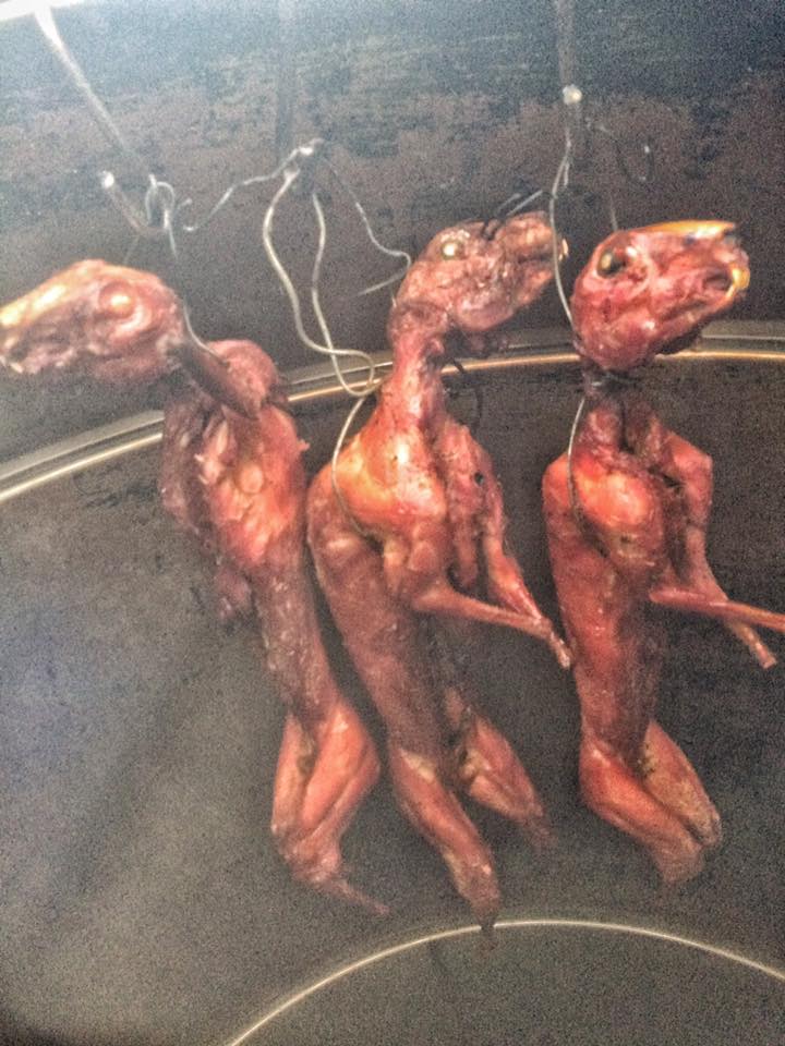 网友对斋戒月售卖兔肉直呼不忍心  -图取自Mohd Ebbie Shafiran面子书-