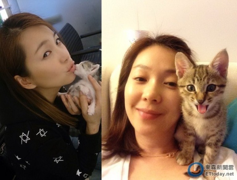 六月身体力行的呼吁爱猫，就连怀孕也要纠正大家“孕妇不可养猫”的误区。-图取自东森新闻云-