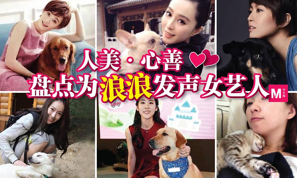 Cincai News