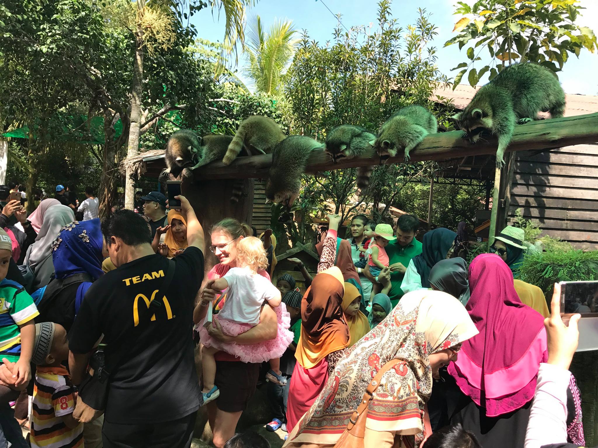 能够和大自然以及小动物接触,是让孩子健康成长的好方法。-摘自城の农场FB-