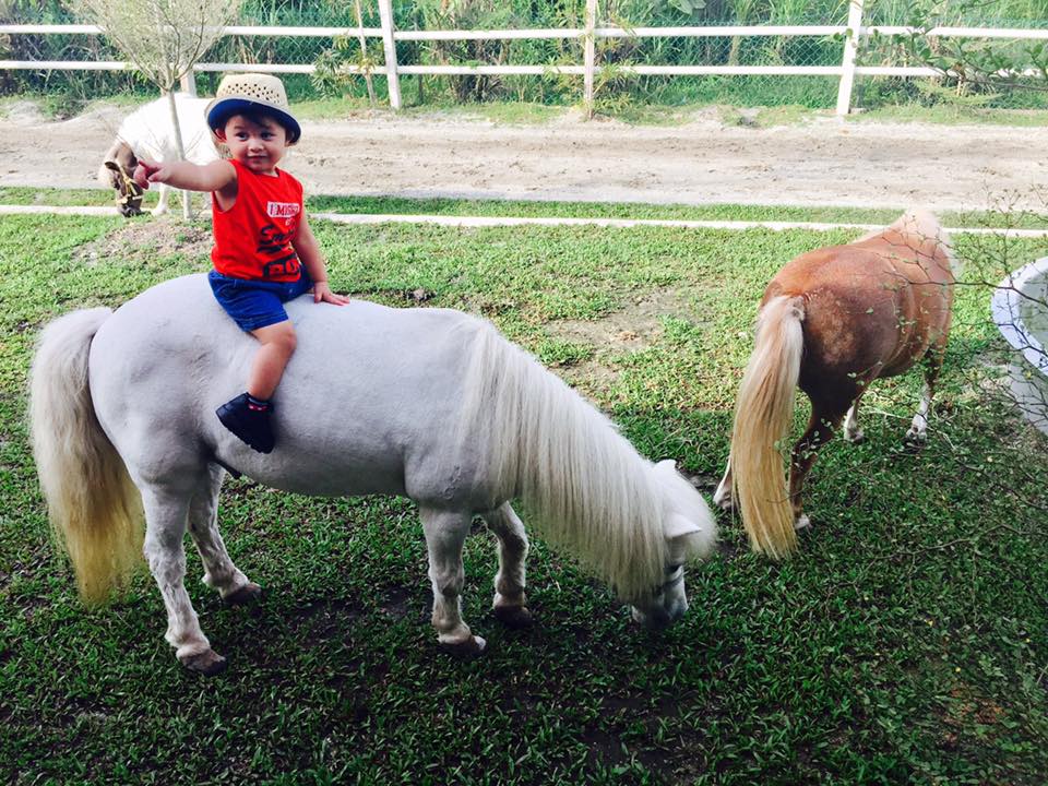 可以体验骑马乐趣。-摘自浮罗山背休闲马场FB-