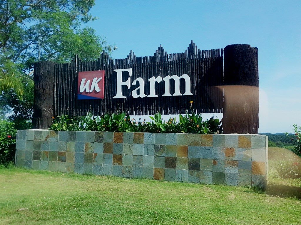 UK农场有外国牧场的Feel。-摘自UK Farm FB-