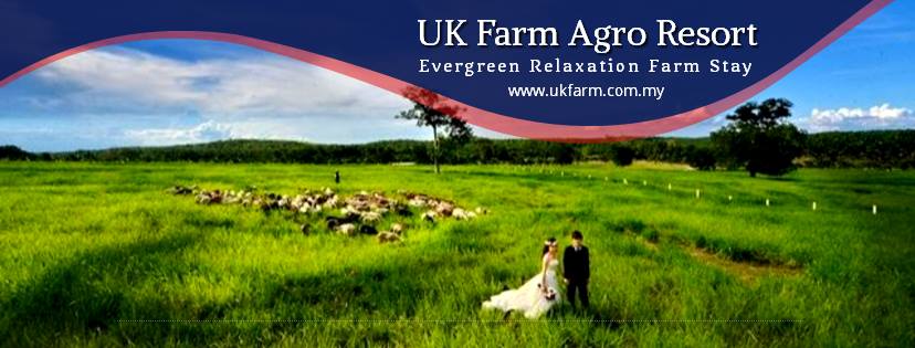 很多人选择到UK Farm拍摄婚纱照。-摘自UK Farm FB-