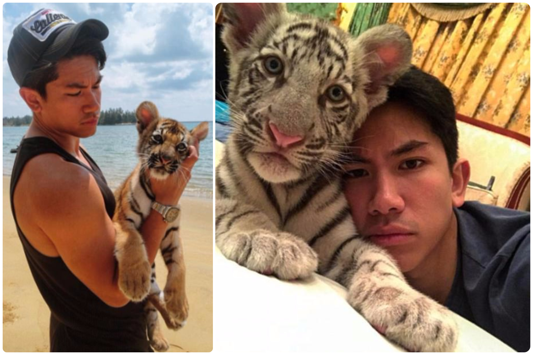 马丁在网上分享了自己和小虎崽相依相偎的亲密照片，温柔的眼神和萌萌的表情，让万千粉丝尖叫。-摘自tmski Instagram-