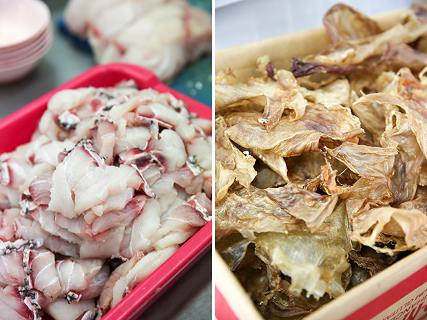 新鲜的鱼肉(左)和晒干的鱼鳔(右)。-Choo Choy May摄-