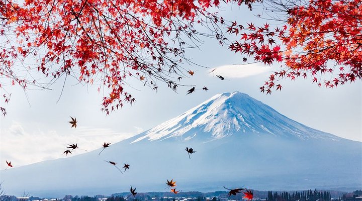 富士山是日本必游景点之一。-摘自网络-
