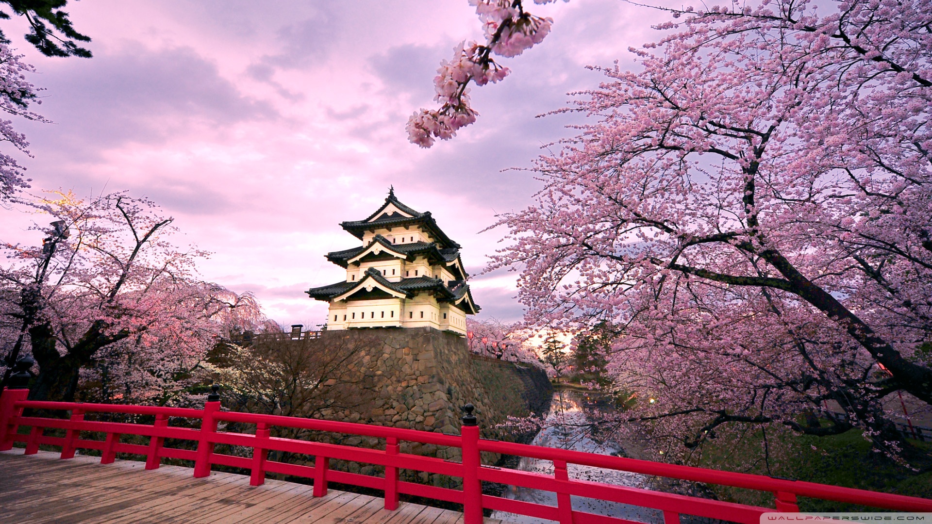 去日本不能错过的就是樱花和神庙。-摘自网络-