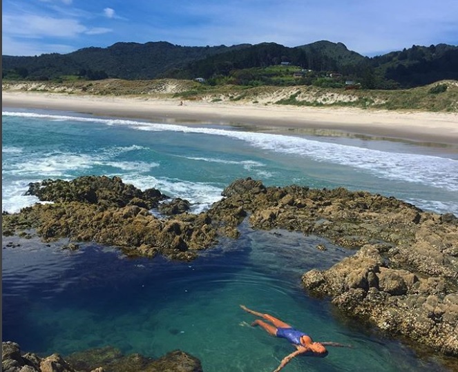 奥克兰的大巴里尔岛风景宜人。-摘自purenewzealand IG-