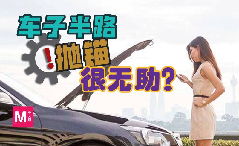 Cincai News