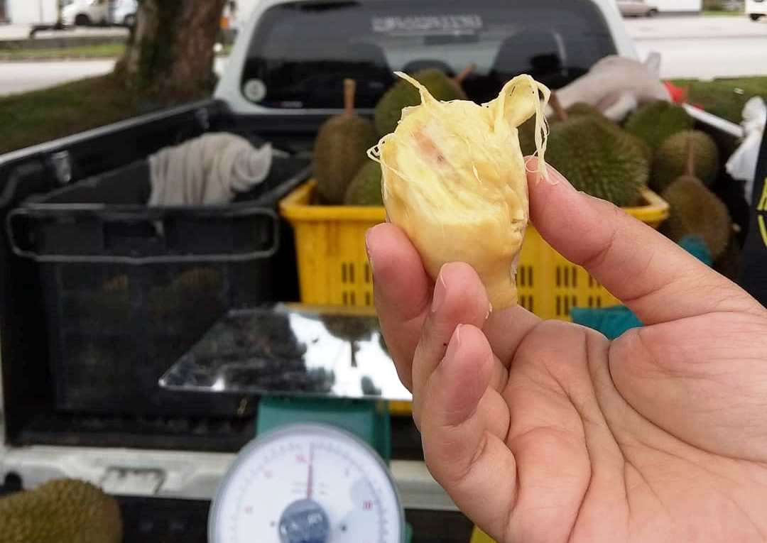 炸榴连所使用的榴莲，都是在甘榜种的榴莲。-摘自Pisang Cheese Batang Kali粉丝专页-