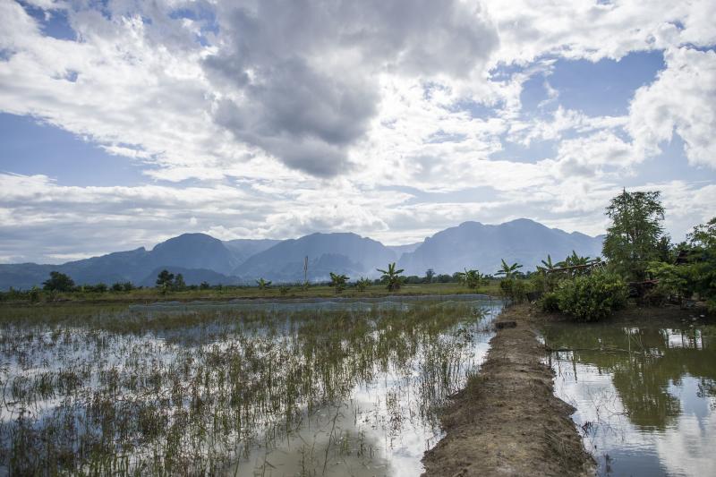 洞穴附近的数十块农田，约223公顷遭淹没。政府承诺向受影响的农民支付全额赔偿。-法新社-