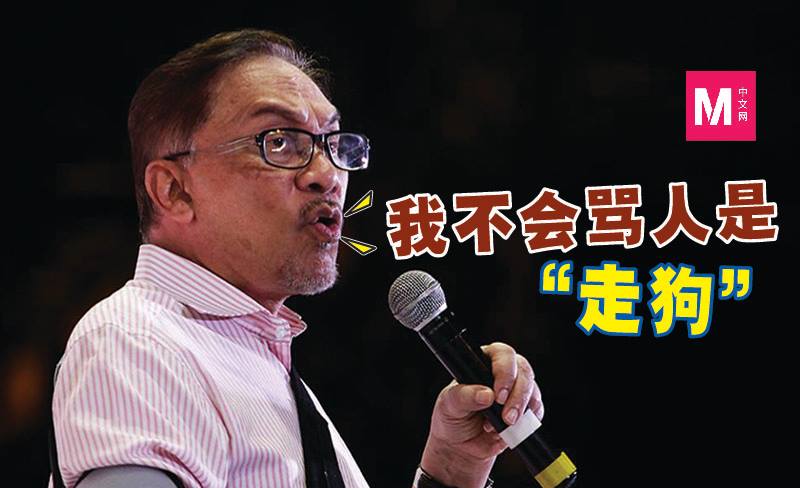 Cincai News
