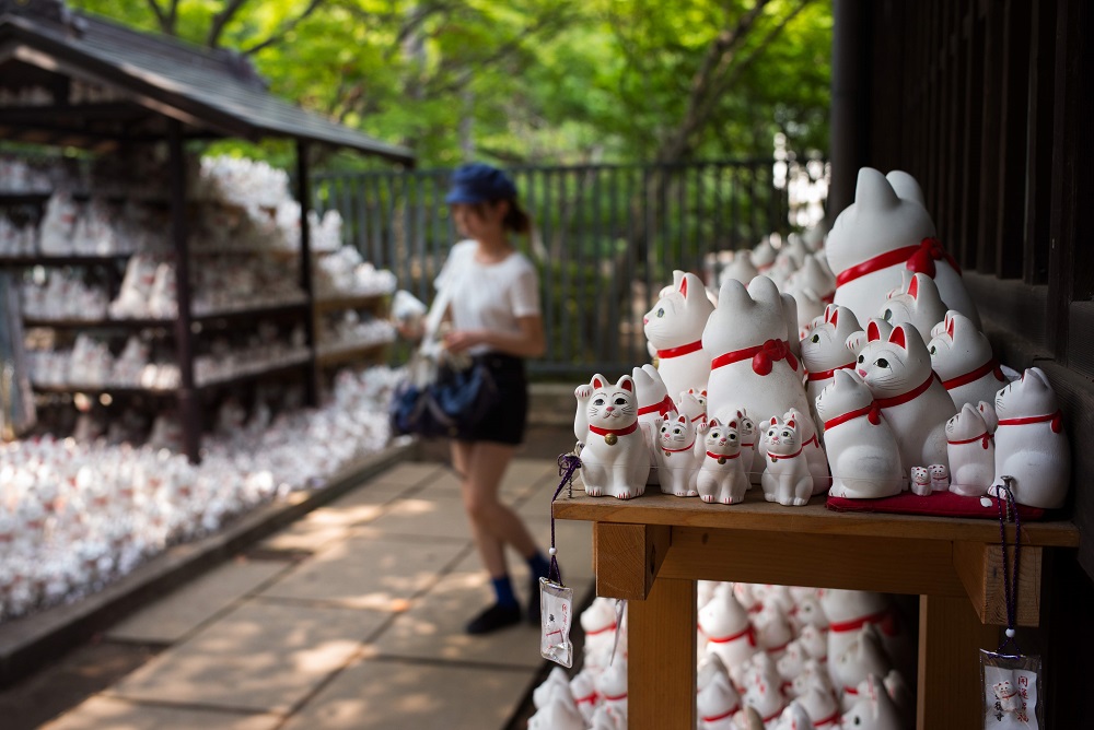This photo taken on August 6, 2018 shows a woman looking at cat figurines called u00e2u20acu02dcmaneki-nekou00e2u20acu2122 at the Gotokuji temple in Tokyo. u00e2u20acu201d AFP pic