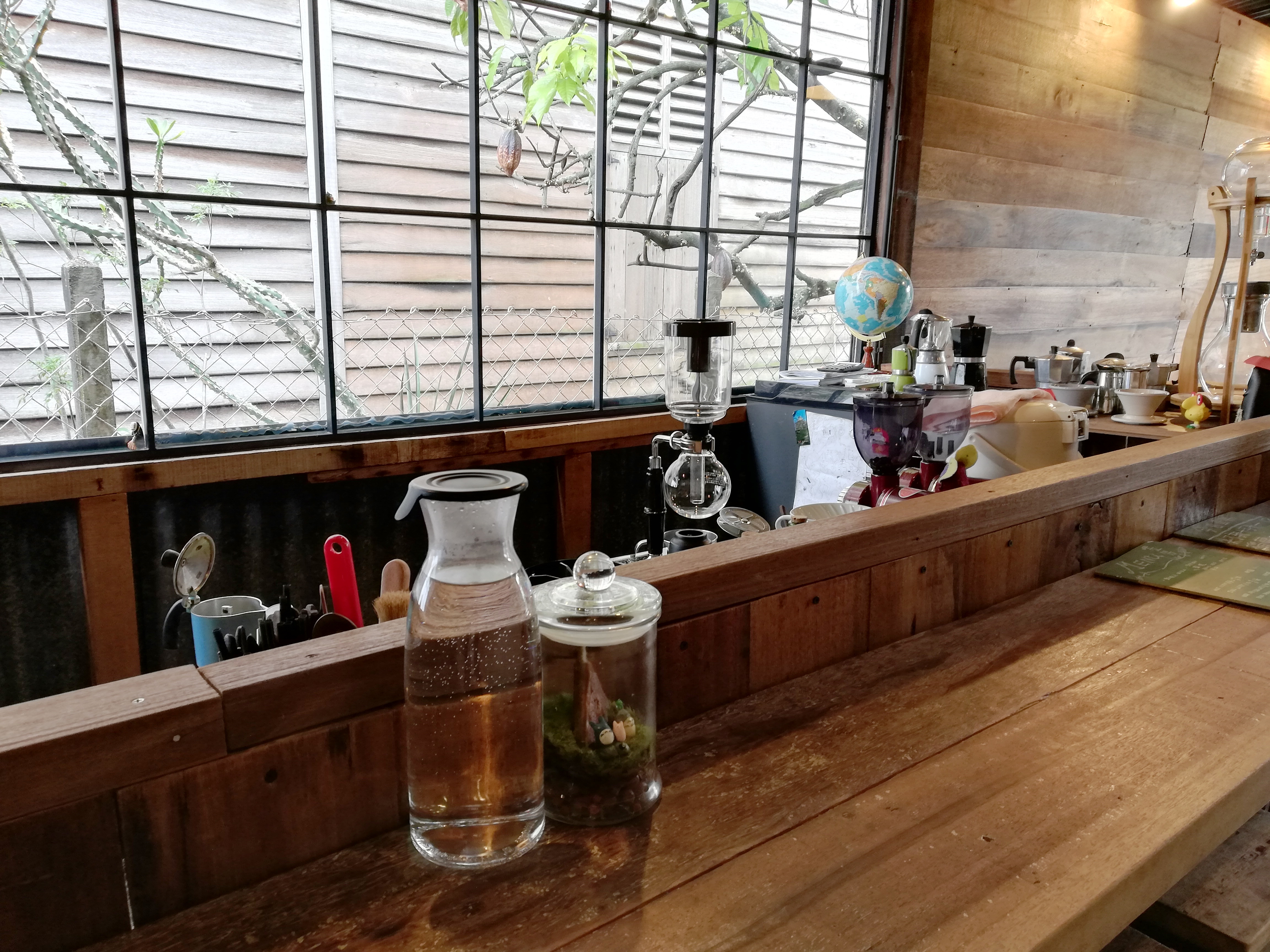 呱呱小铺的玻璃窗外，可以看到一棵结了一颗果实的咖啡树。-杨琇媖摄-