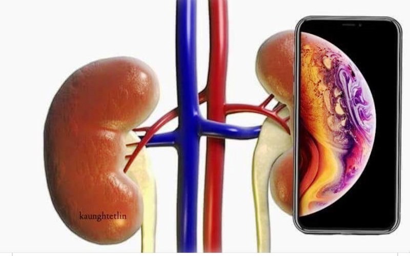 网友创意图笑称新的iPhone XS必须要卖肾才买得起。-摘自网络-