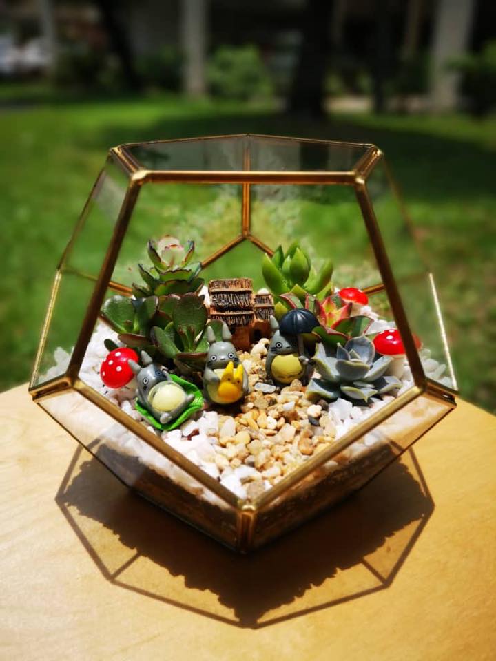 放在瓶内的多肉植物，配上可爱的龙猫微景观配件，看着心情也会变好呢！-摘自Terrariums Malaysia脸书-
