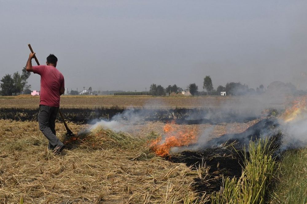 A farmer burns straw stubble in his field at Ishargarh village in the northern Indian state of Haryana, October 16, 2018. u00e2u20acu201d AFP pic