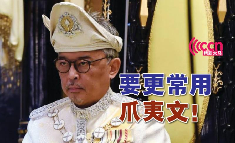 Cincai News