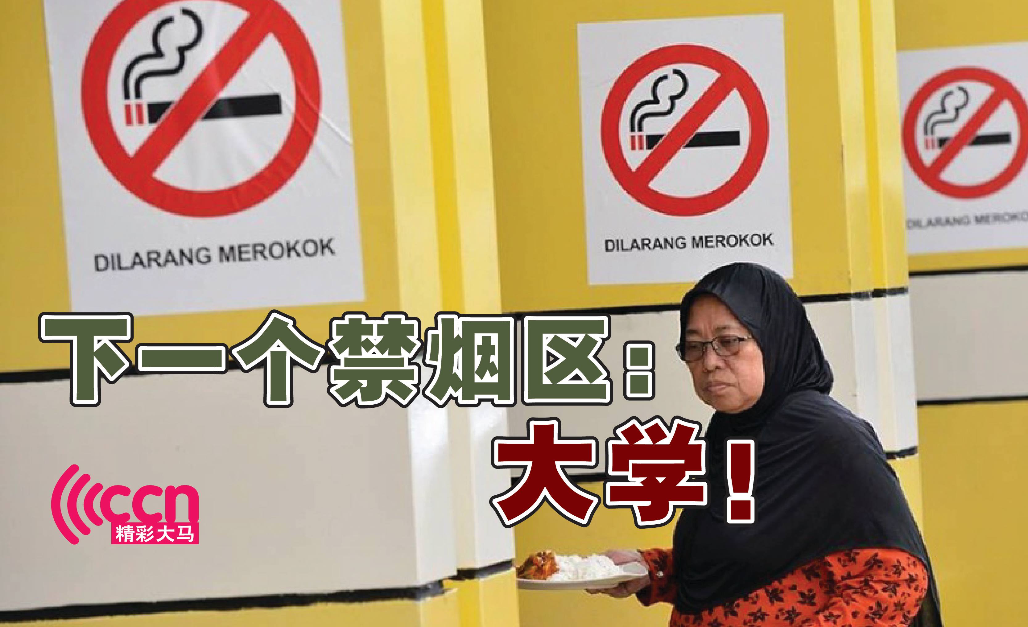 Cincai News