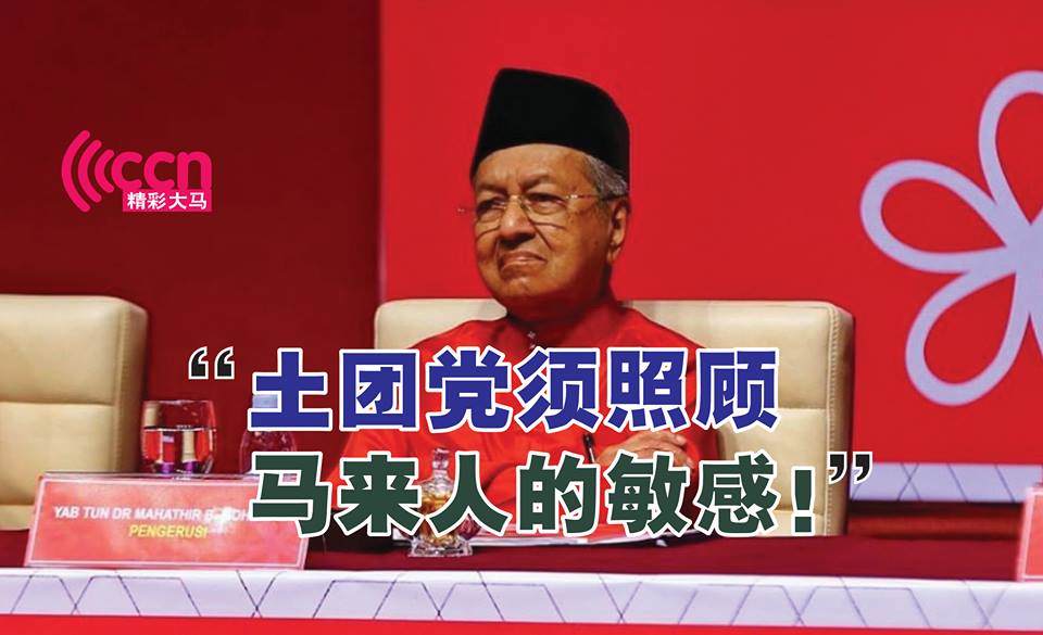 Cincai News