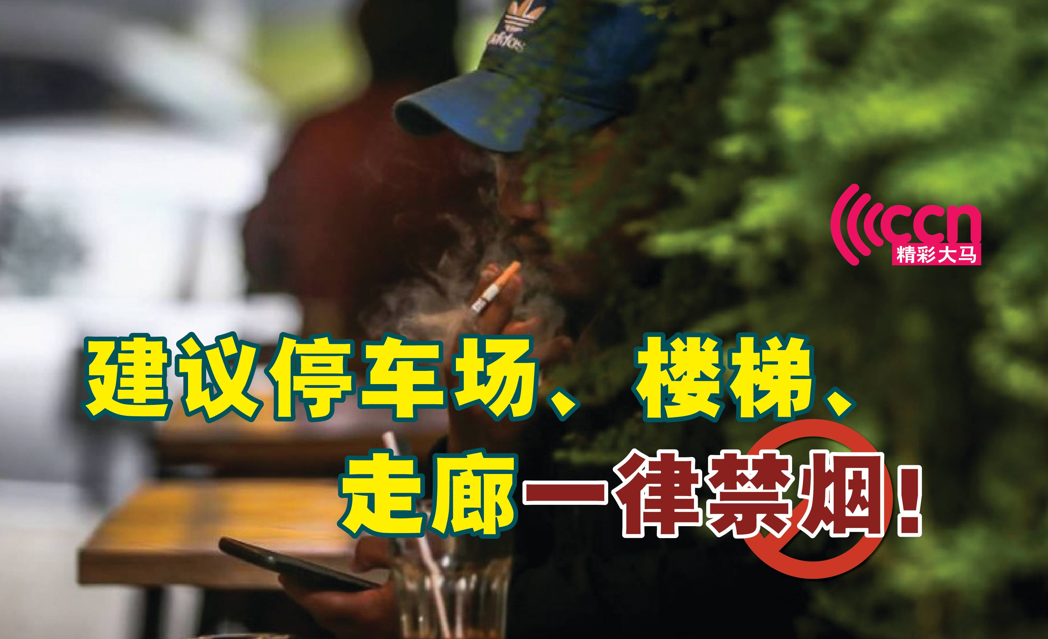 Cincai News