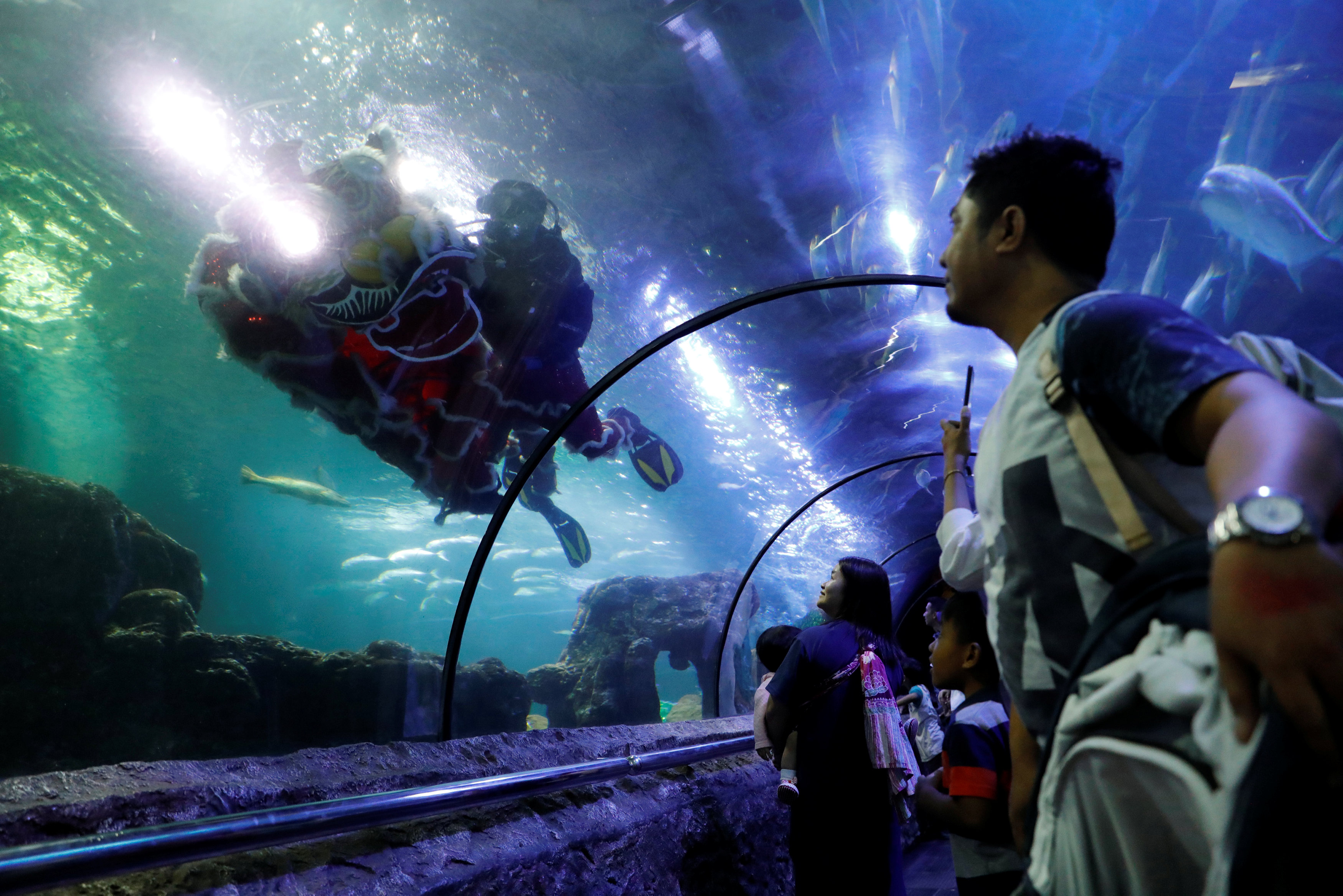 印尼雅加达“海洋世界”主题公园，有舞狮潜入水底表演，引来不少游客驻足观看。-路透社-