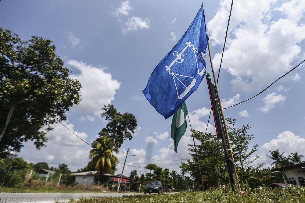 Barisan Nasional and PAS flags are seen along Jalan Sg Lalang in Semenyih February 8, 2019. u00e2u20acu201d Picture by Hari Anggara