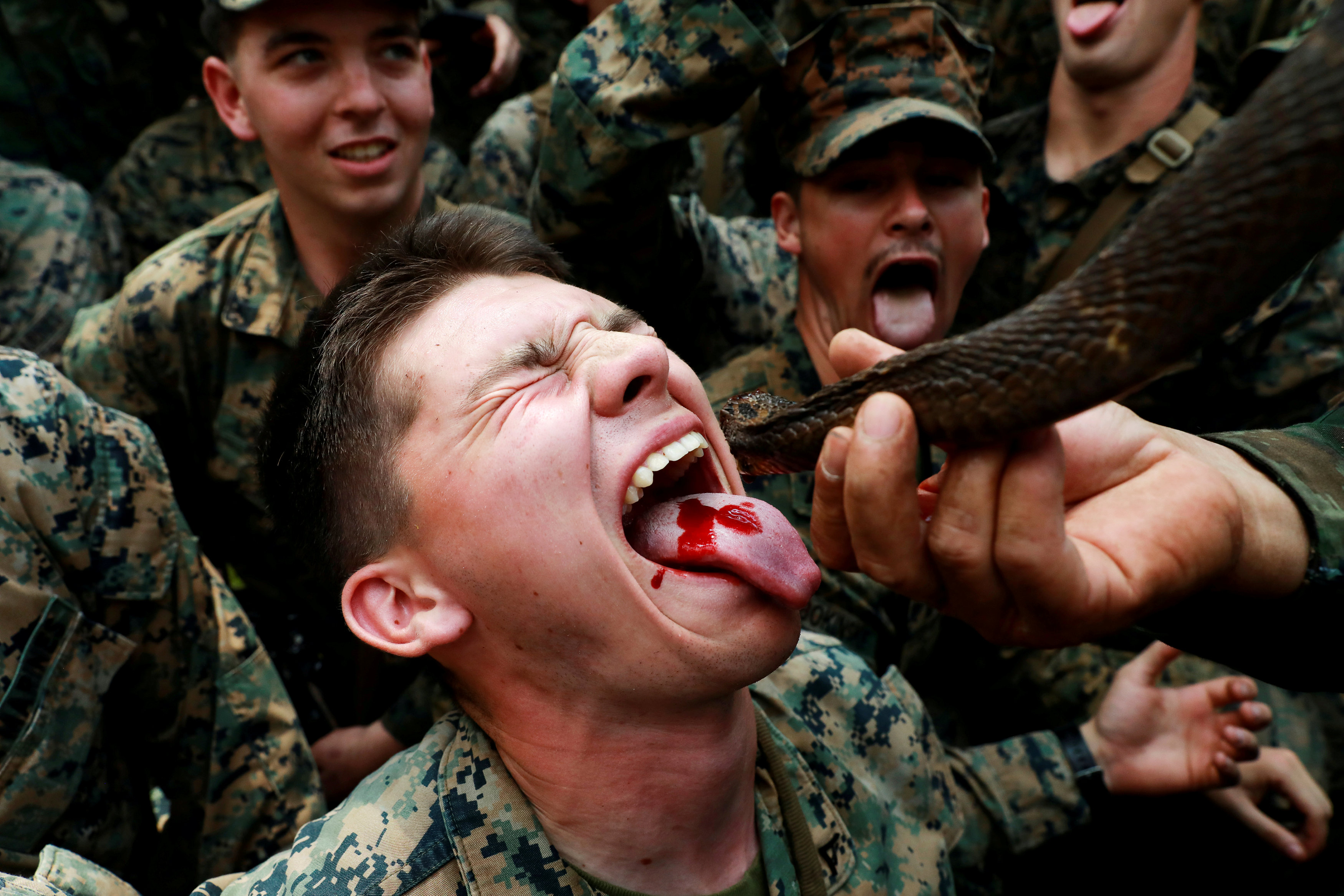金色眼镜蛇联合军演，美军士兵尝蛇血试胆，形容味道有点腥。-路透社-