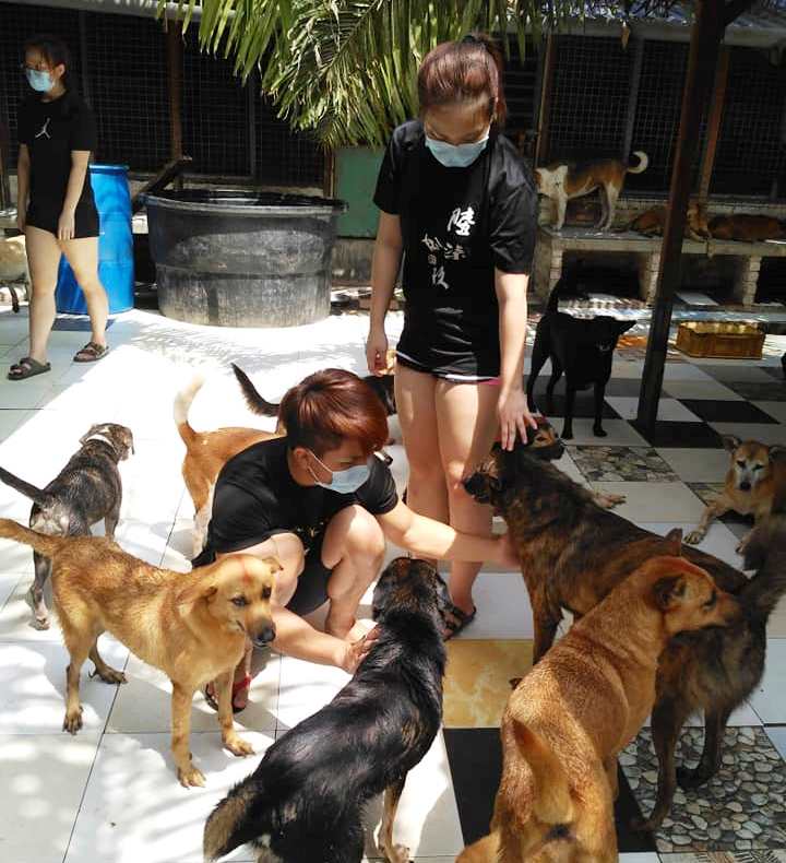 一起照顾小动物有意义还能培养感情。-摘自HOPE 希望护生园脸书-